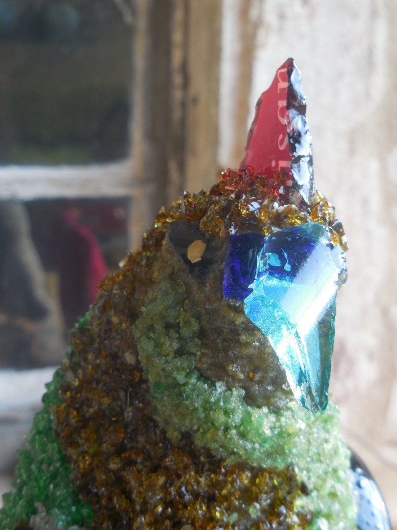 oiseaux
