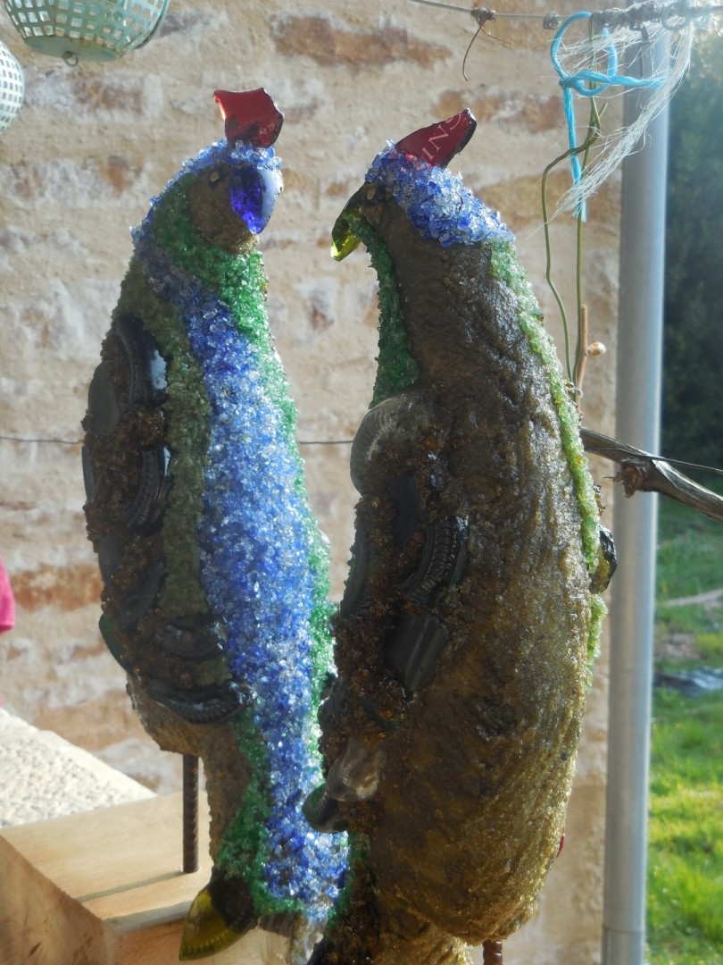 oiseaux
